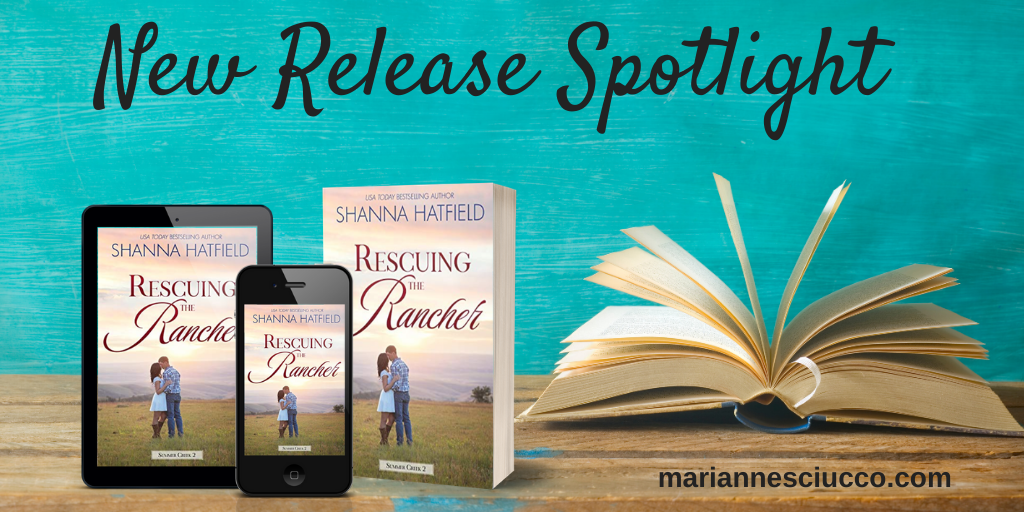 New Release Spotlight Driftwood Dreams (3)